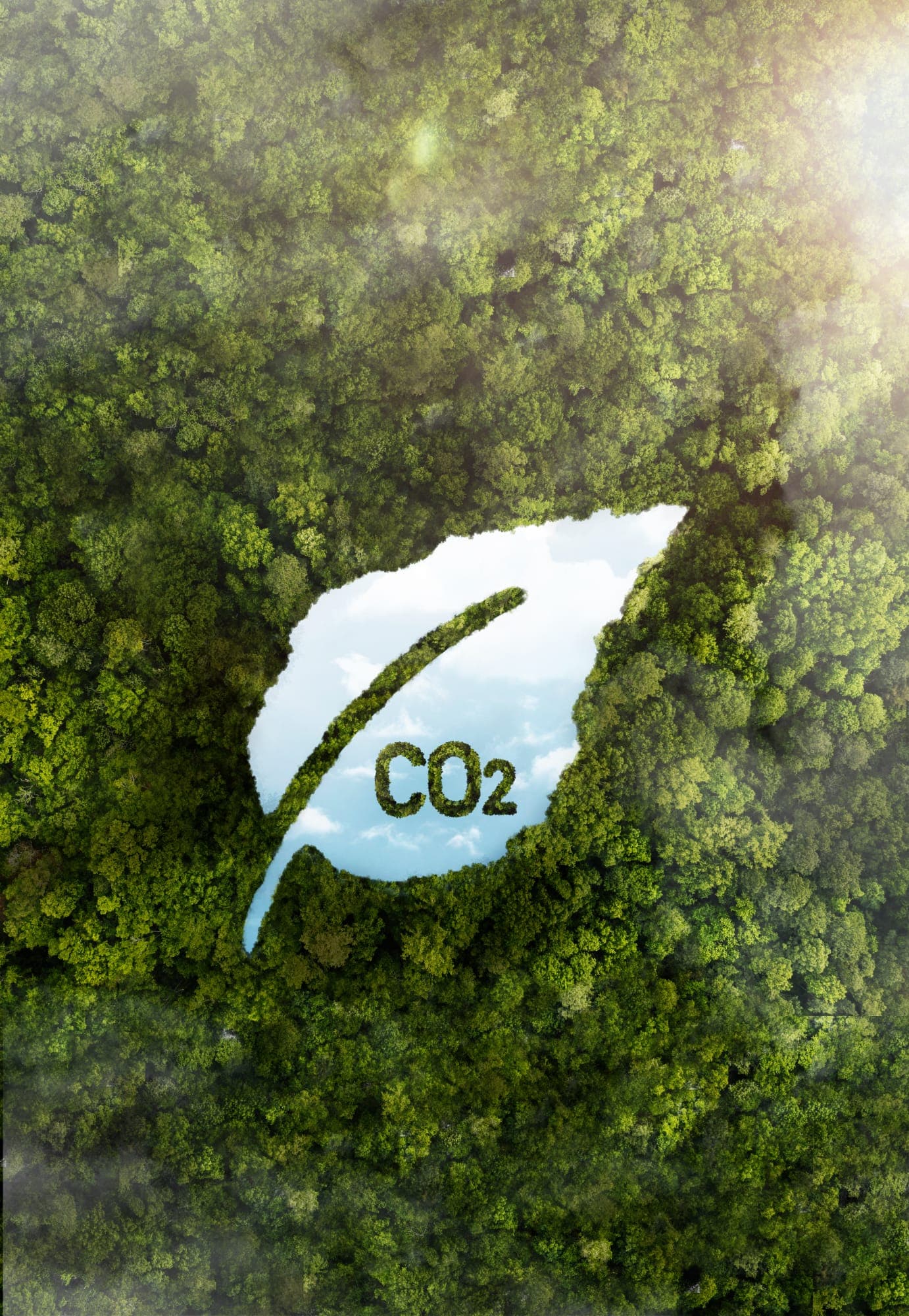 GPS y Reducción de la Huella de Carbono