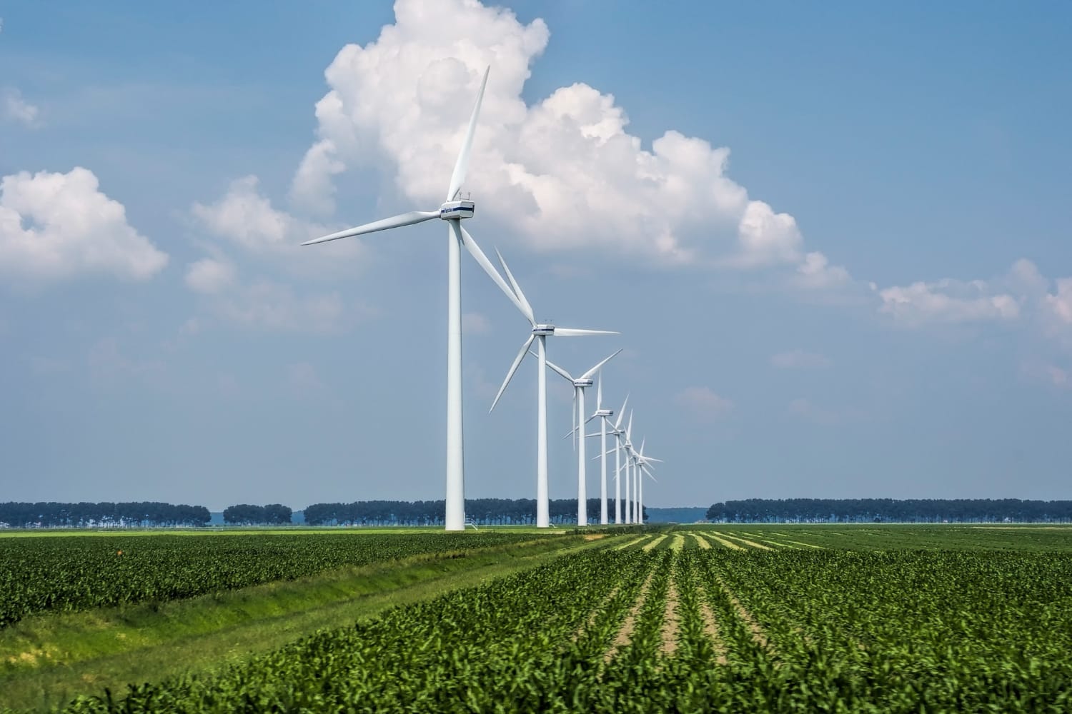 Potencial del Hidrógeno Verde: Un futuro sustentable