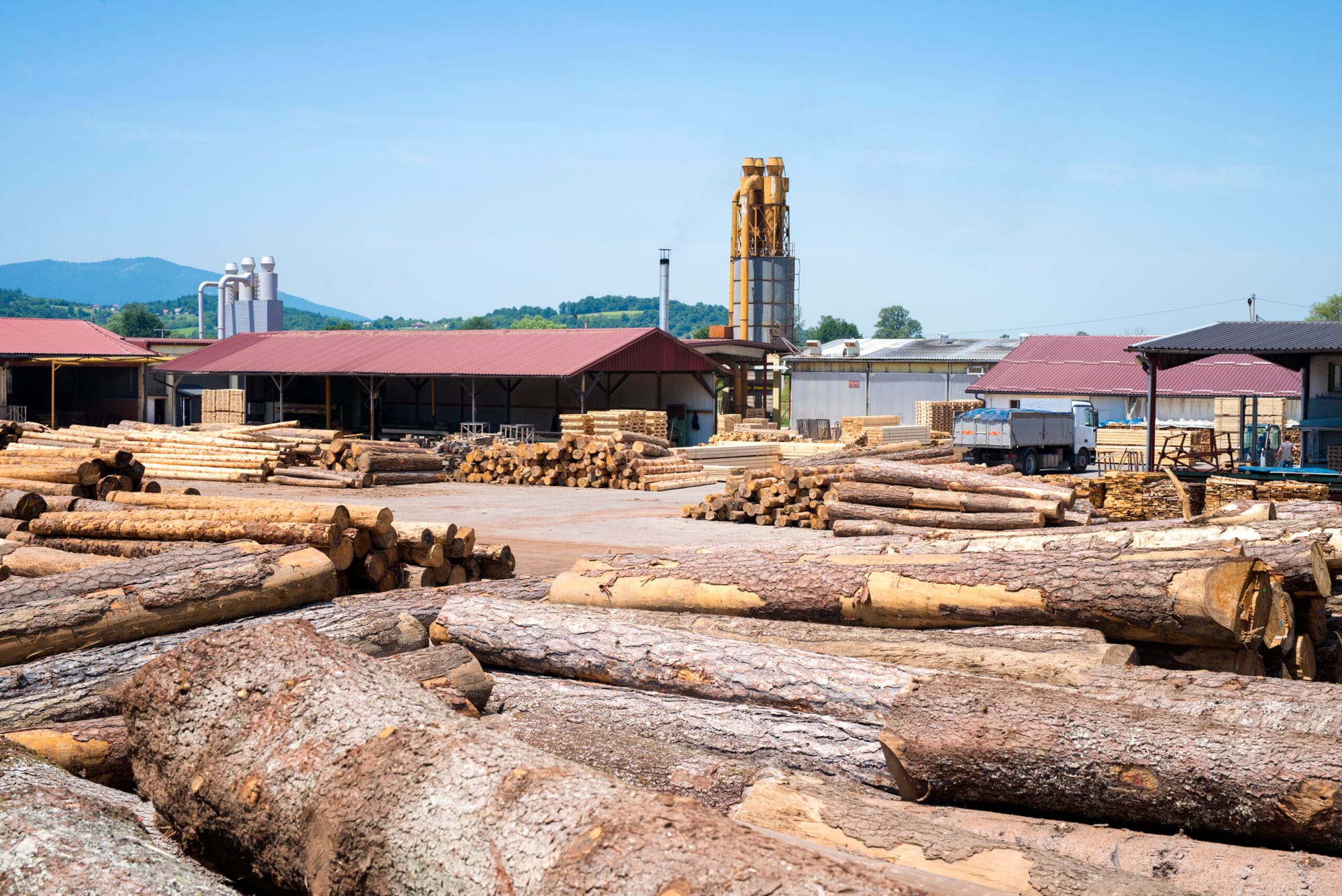 Estrategias para Reactivar la Industria Forestal en Chile